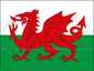 Fahne Wales 100x150cm ID1091 Fr. 40.-