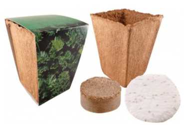 Kräuter Starter Kit