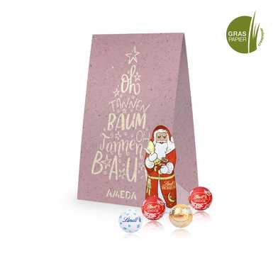 Geschenktüte aus Graspapier