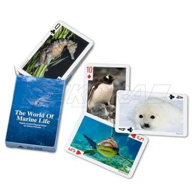 Spielkarten-Set TRIKORA mit 54 Karten in Karton