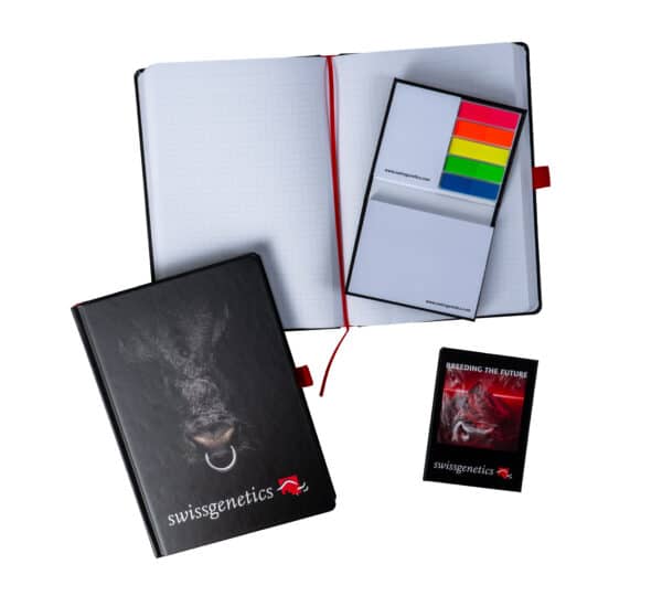 Set Haftnotizen und Notizbuch