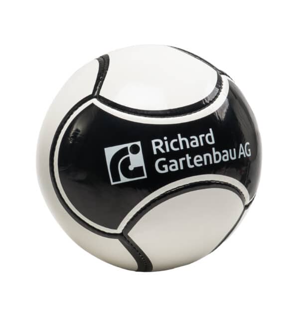 Trainingsball
